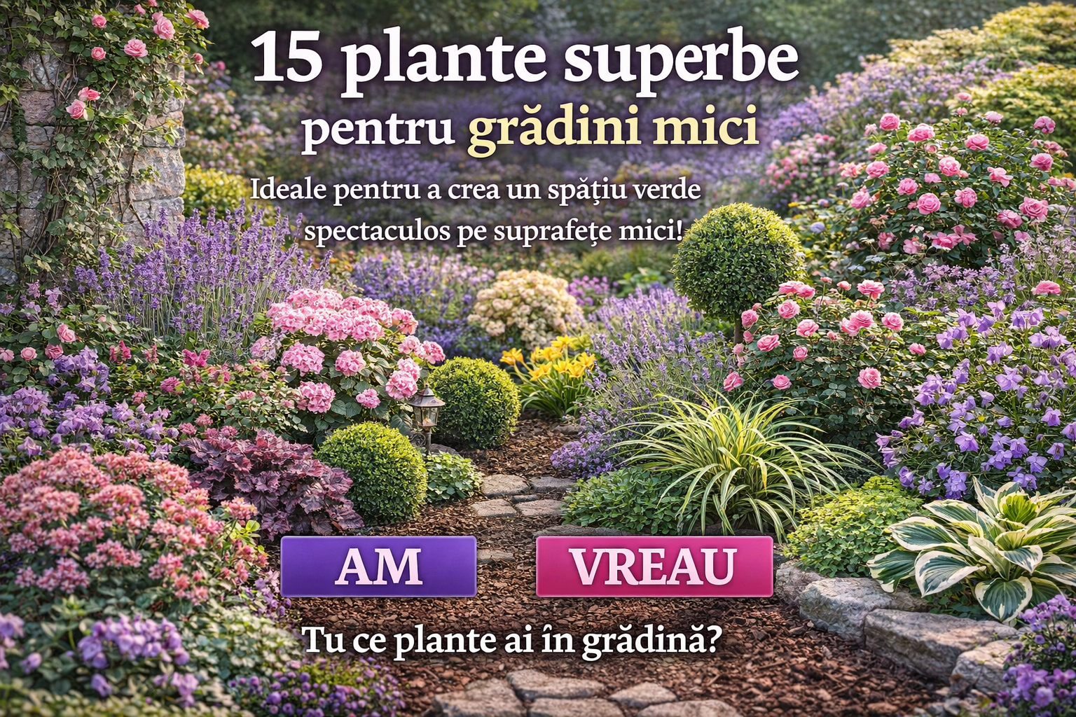 15 plante pentru grădini mici: ghid complet pentru un spațiu verde superb