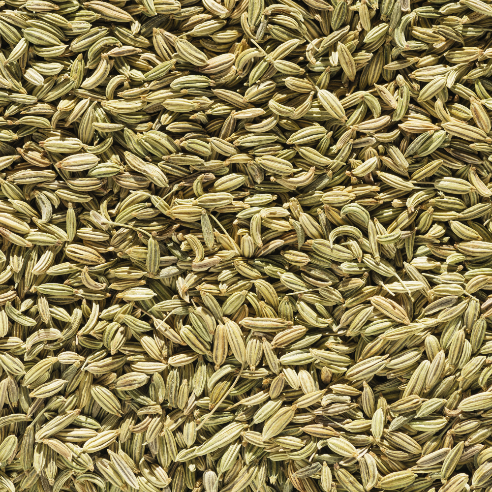 Seminte Plante Aromatice