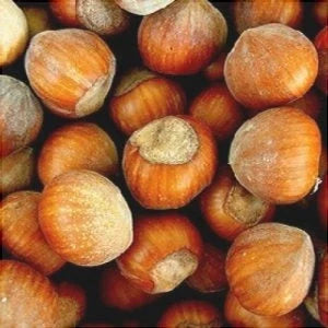 Alun "Cozia"