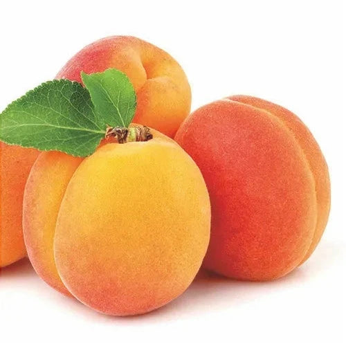 Pomi Fructiferi - Cais NJA 19 - Anul 3 - 1 buc - Regatul Plantelor