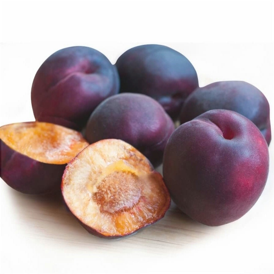 Pomi Fructiferi - Cais Negru - Anul 3 - 1 buc - Regatul Plantelor