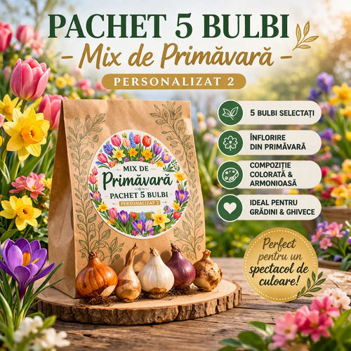 Pachet 5 bulbi - Mix de primavara personalizat 2