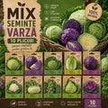 Mix Semințe de Varză 10 Bucăți – semințe | Regatul Plantelor