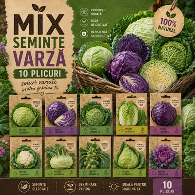 Mix Semințe de Varză 10 Bucăți – semințe | Regatul Plantelor