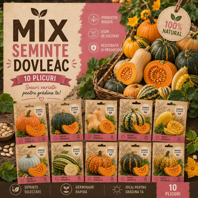 Mix Semințe de Dovleac - 10 Bucăți – semințe | Regatul Plantelor