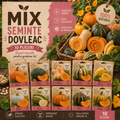 Mix Semințe de Dovleac - 10 Bucăți