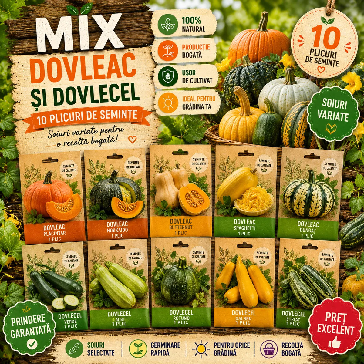 Mix 10 Semințe Dovleac și Dovlecel – semințe | Regatul Plantelor