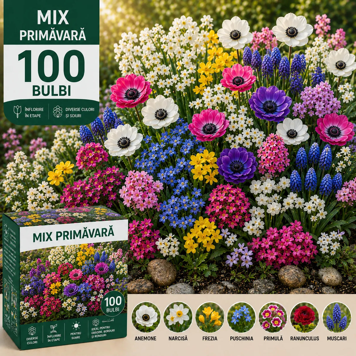 Pachet mix primavară Mystic Garden- 100 bucăți – bulbi de flori | Regatul Plantelor