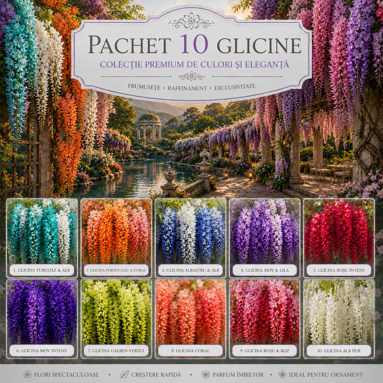 Pachet Mix Glicina-20 Bucati