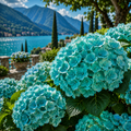 Hortensia "Aqua Paradise"