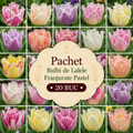 Pachet Bulbi de Lalele Franjurate Pastel 20 buc