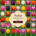 Pachet Bulbi de Lalele Mix 100 buc