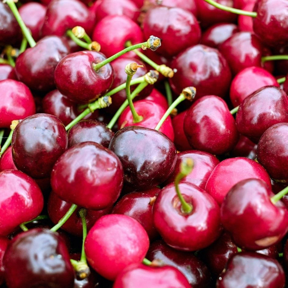 Pomi Fructiferi - Cires Regina - Anul 3 - Regatul Plantelor