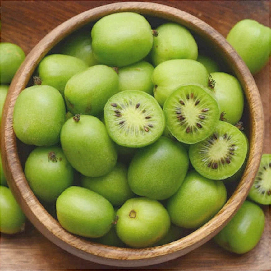 Kiwi Issai (Actinidia arguta Issai) la Ghiveci, 1 Bucata