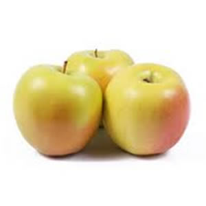 Pomi Fructiferi - Mar Golden Rosa - Anul 3 - 1 buc - Regatul Plantelor