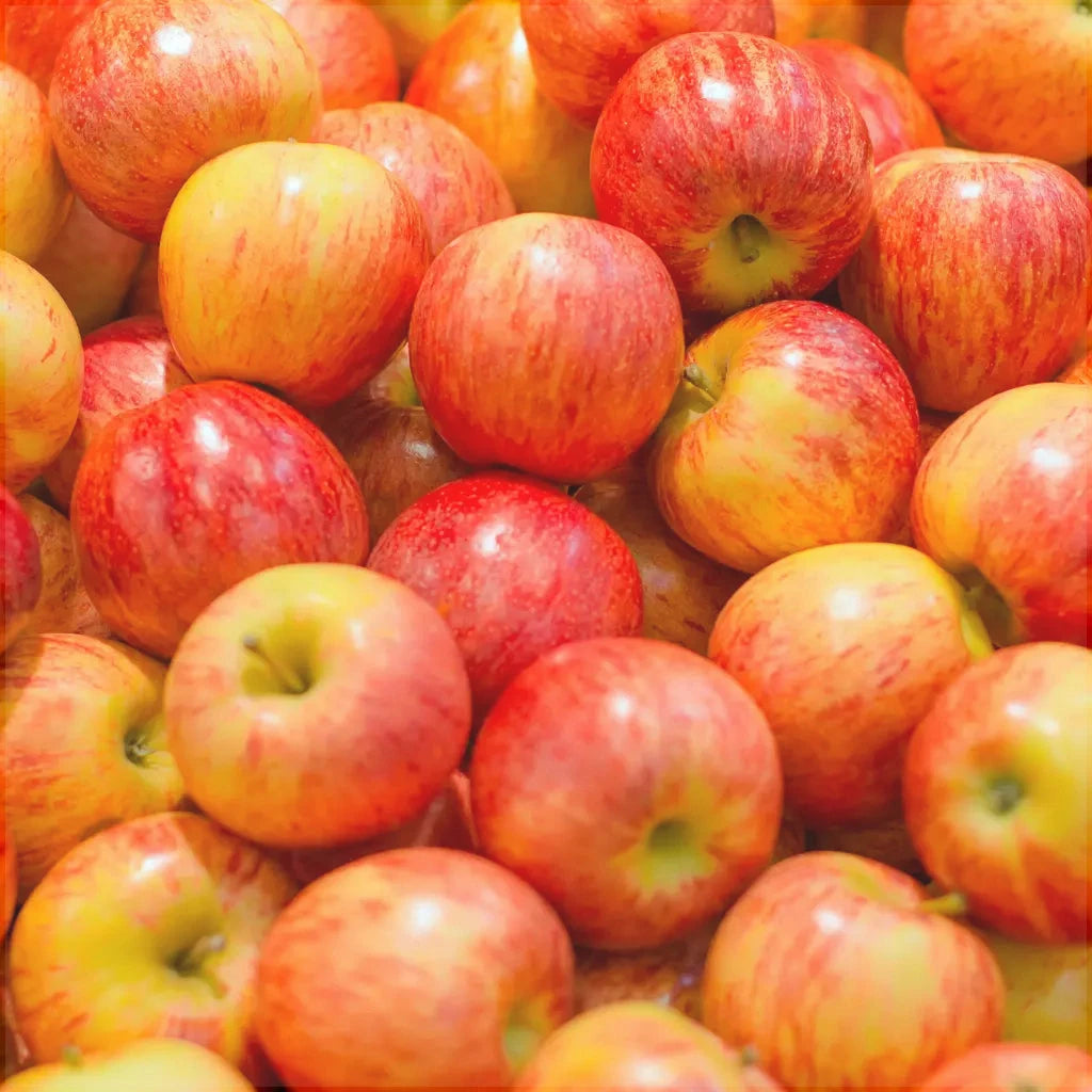 Pomi Fructiferi - Mar Jonagold - Anul 3 - 1 buc - Regatul Plantelor