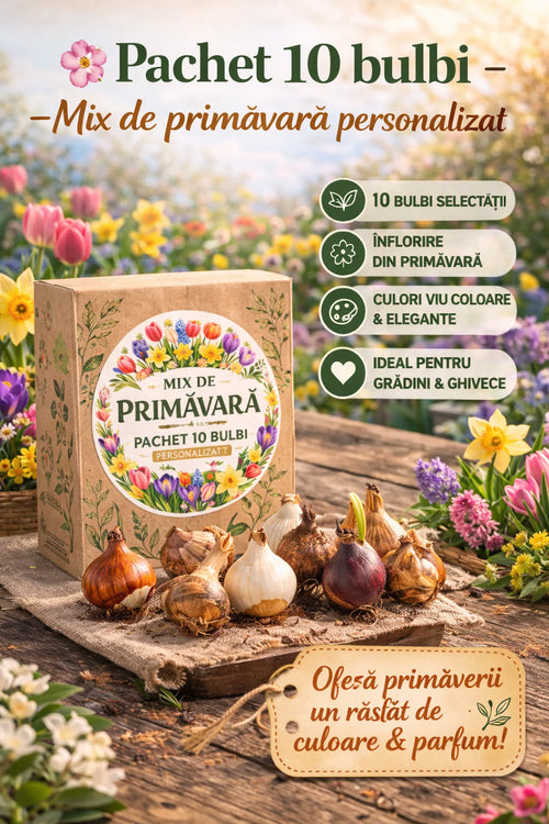 🌸 Pachet 10 bulbi – Mix de primăvară personalizat