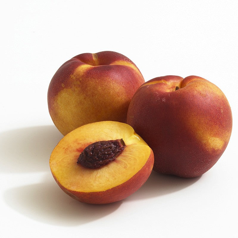 Pomi Fructiferi - Nectarin Fantasia - Anul 3 - 1 buc - Regatul Plantelor