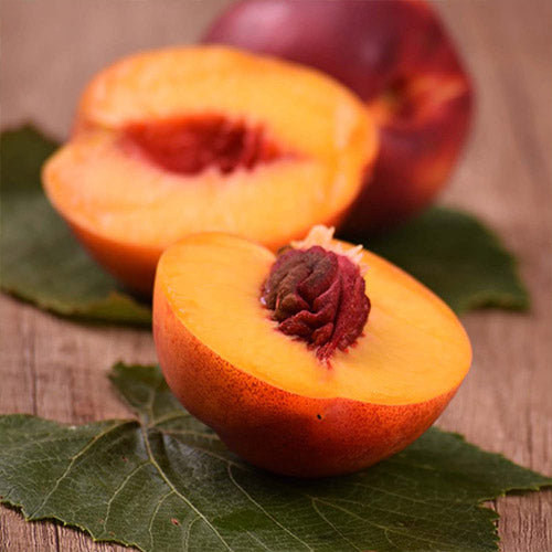 Pomi Fructiferi - Nectarin Nectared - Anul 3 - 1 buc - Regatul Plantelor