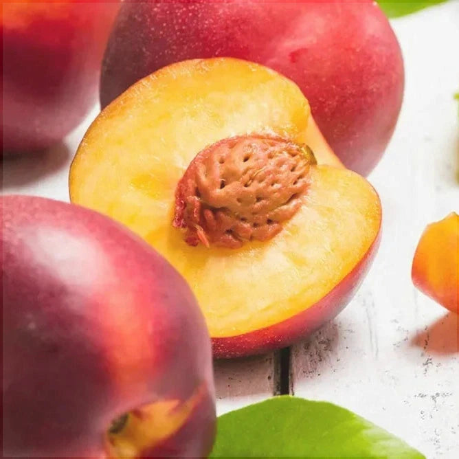 Pomi Fructiferi - Nectarin Sweet Scarlet - Anul 3 - 1 buc - Regatul Plantelor