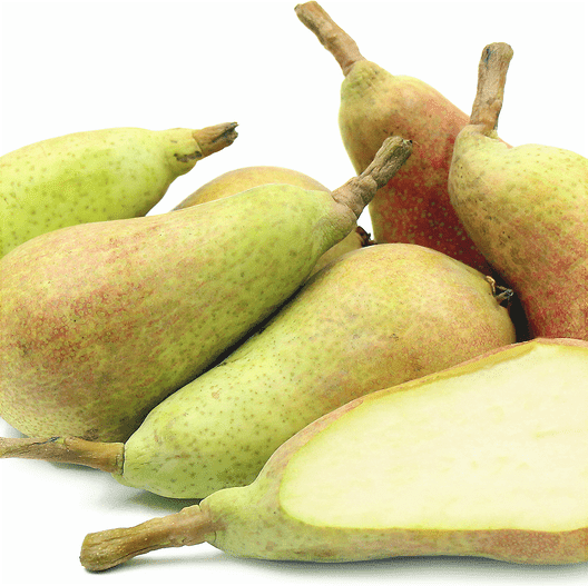 Pomi Fructiferi - Par Carmen - Anul 3 - 1 buc - Regatul Plantelor