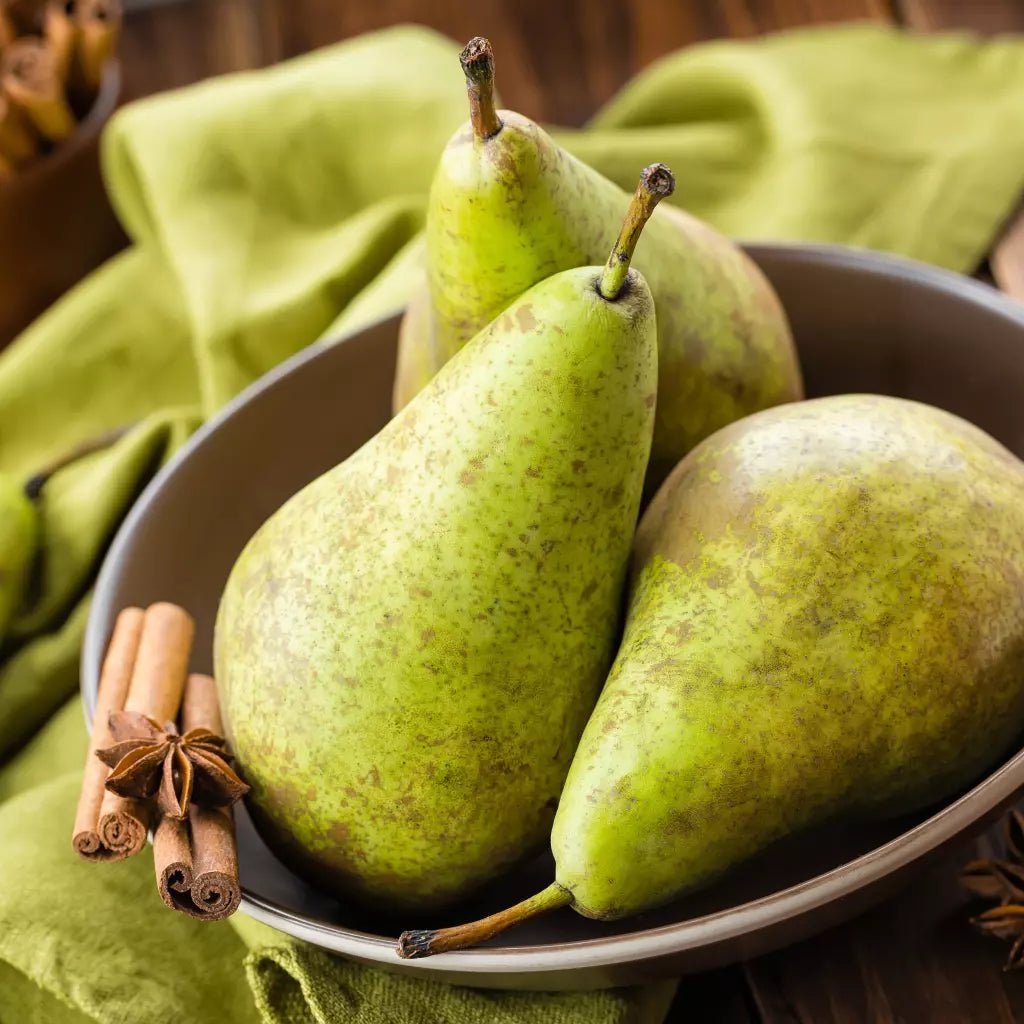 Pomi Fructiferi - Par Conference - Anul 3 - 1 buc - Regatul Plantelor