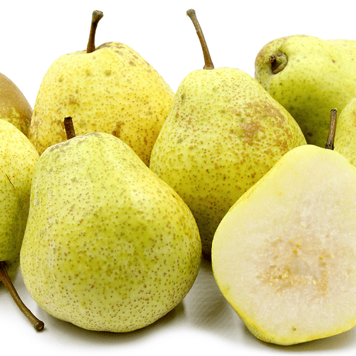 Pomi Fructiferi - Par Kieffer - Anul 3 - 1 buc - Regatul Plantelor