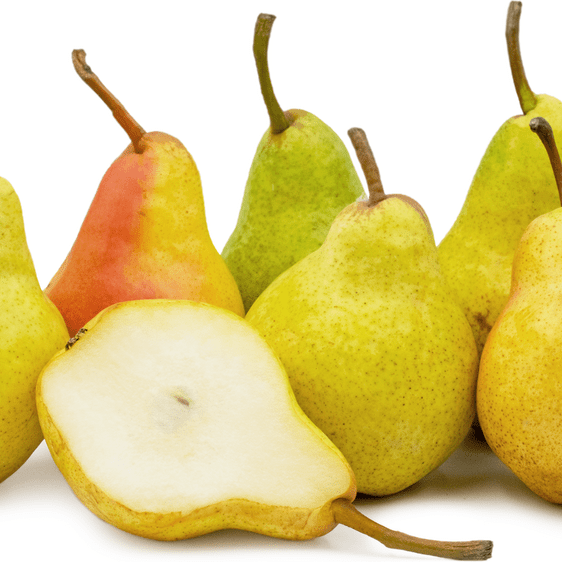 Pomi Fructiferi - Par Williams - Alb - Anul 3 - 1 buc - Regatul Plantelor