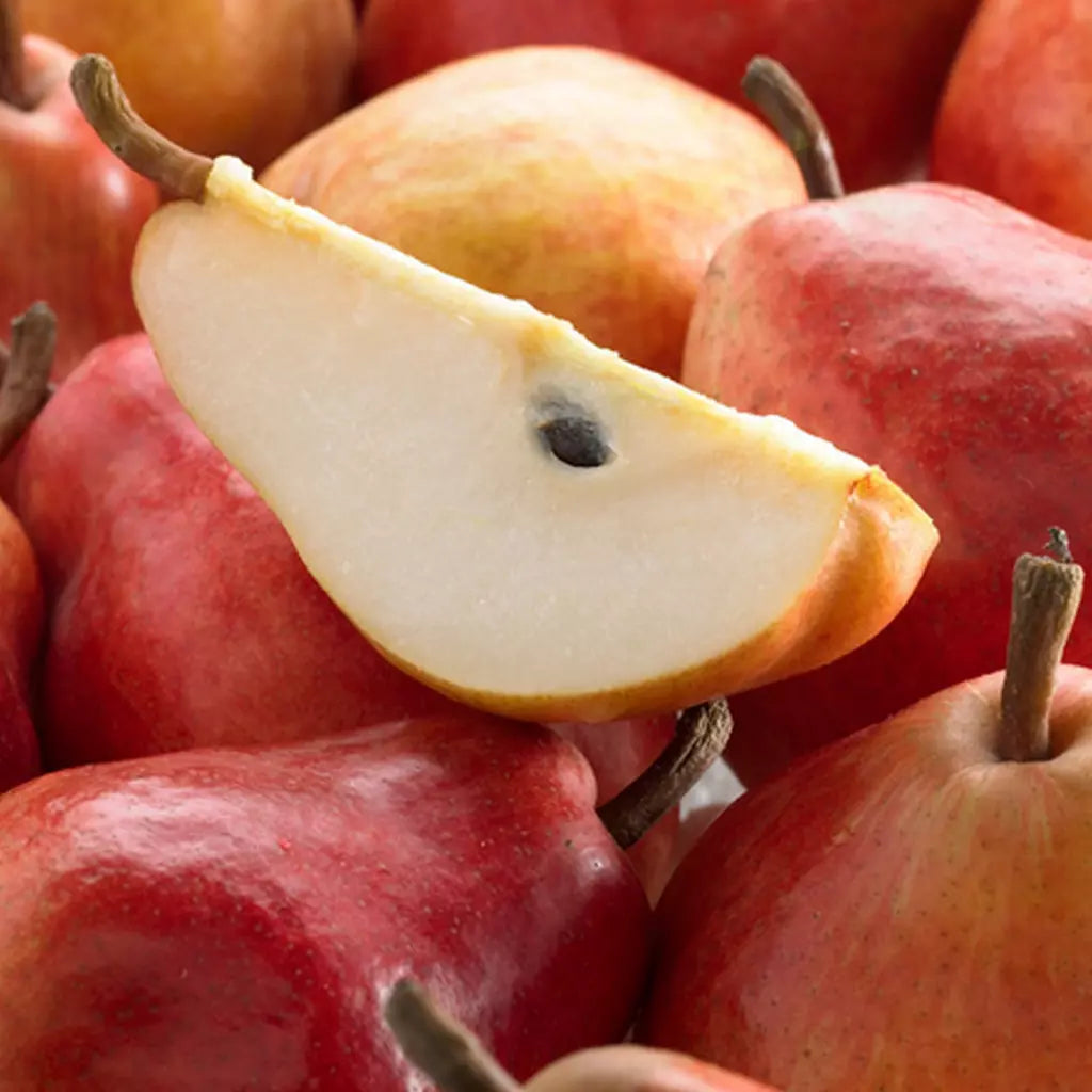 Pomi Fructiferi - Par Williams - Rosu - Anul 3 - 1 buc - Regatul Plantelor