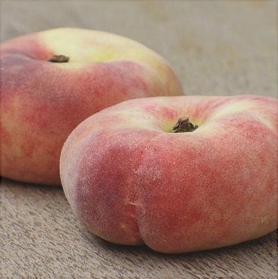 Pomi Fructiferi - Piersic Alex - Anul 3 - 1 buc - Regatul Plantelor