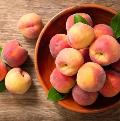 Pomi Fructiferi - Piersic Splendid - Anul 3 - 1 buc - Regatul Plantelor