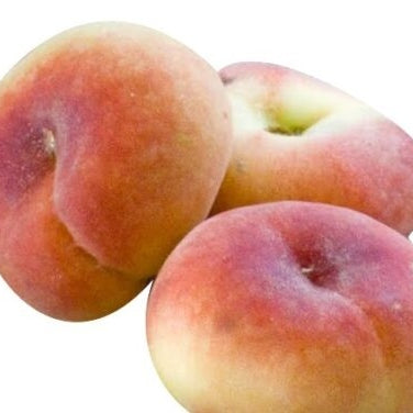 Pomi Fructiferi - Piersic Viorel - Anul 3 - 1 buc - Regatul Plantelor