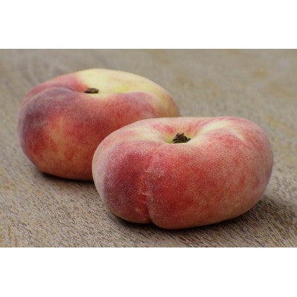 Pomi Fructiferi - Piersic Viorel - Anul 3 - 1 buc - Regatul Plantelor