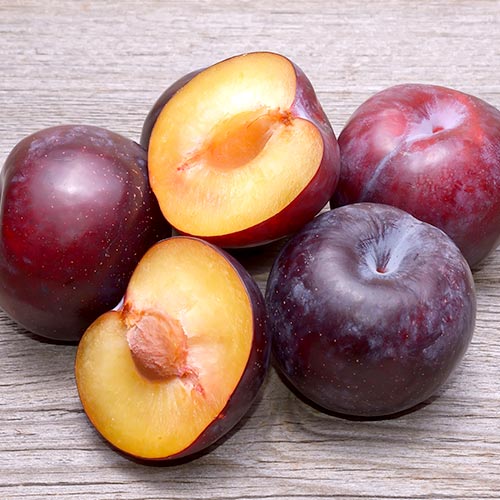 Pomi Fructiferi - Prun Angeleno - Anul 3 - 1 buc - Regatul Plantelor