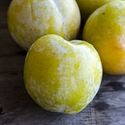 Pomi Fructiferi - Prun Renclod Verde - Galben - Anul 3 - 1 buc - Regatul Plantelor