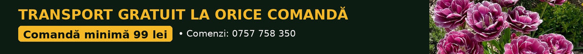 TRANSPORT GRATUIT (comandă minimă 99 lei, valoarea produselor)