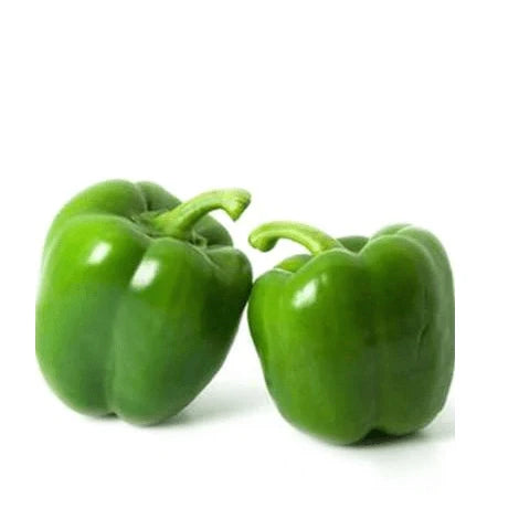 Semințe de Ardei Gras "Blocky Verde", 0.3g