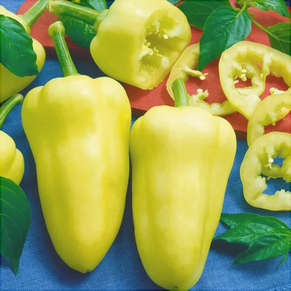 Seminte de Ardei Gras "Feher", 0.7g