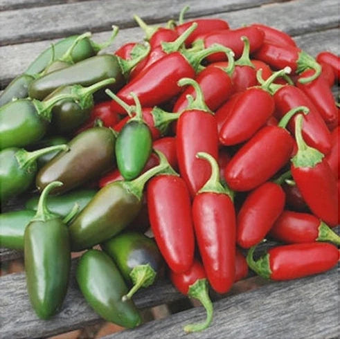 Semințe de Ardei Iute "Jalapeno", 0.7 gr