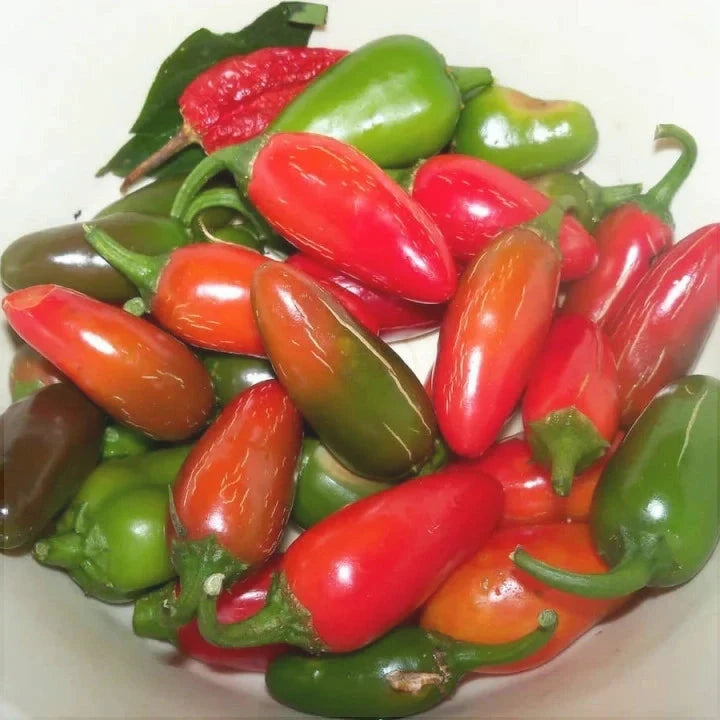 Seminte de Ardei Iute "Jalapeno", 0.7 gr