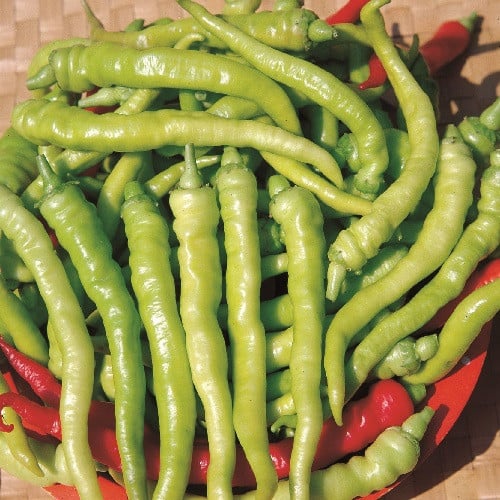 Seminte de Ardei Iute "Sigaretta di Bergamo", 0.5g