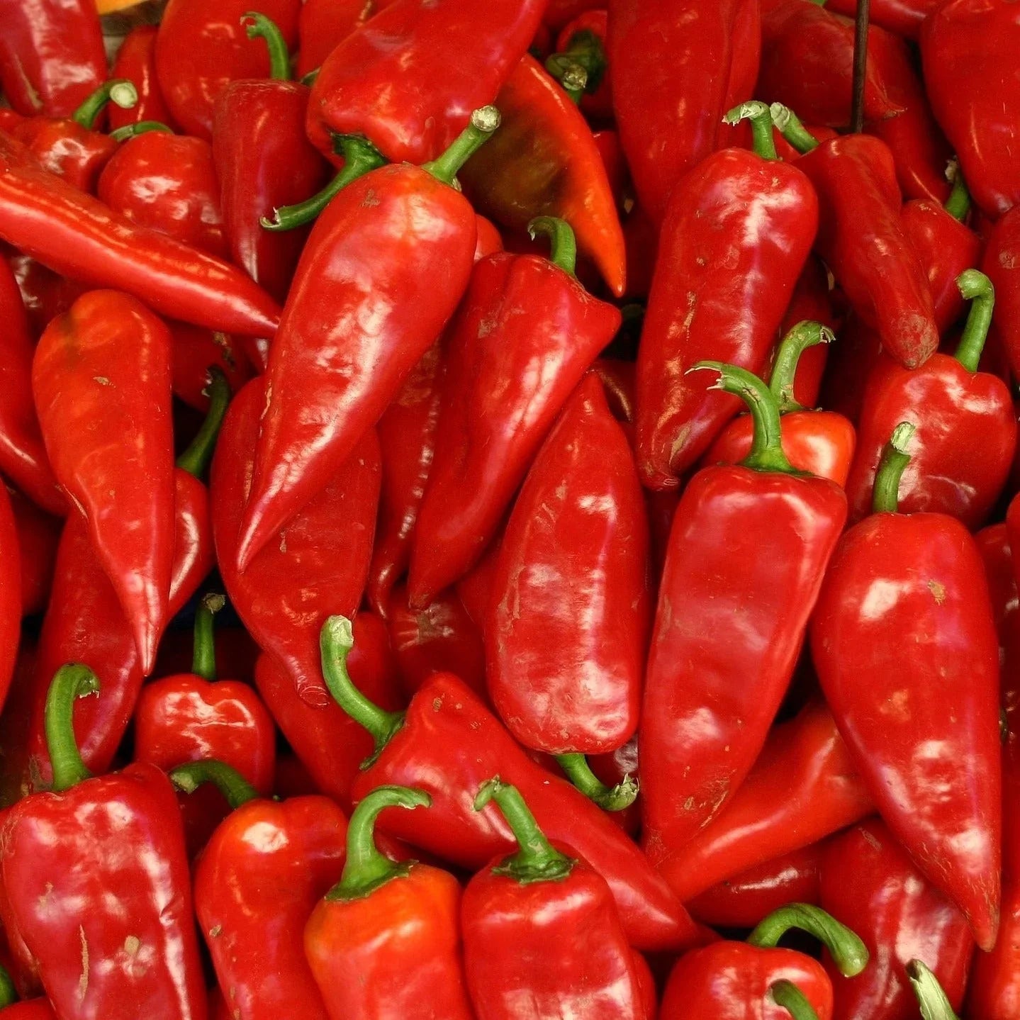 Seminte de Ardei Kapia "Cosmin",0.3 gr