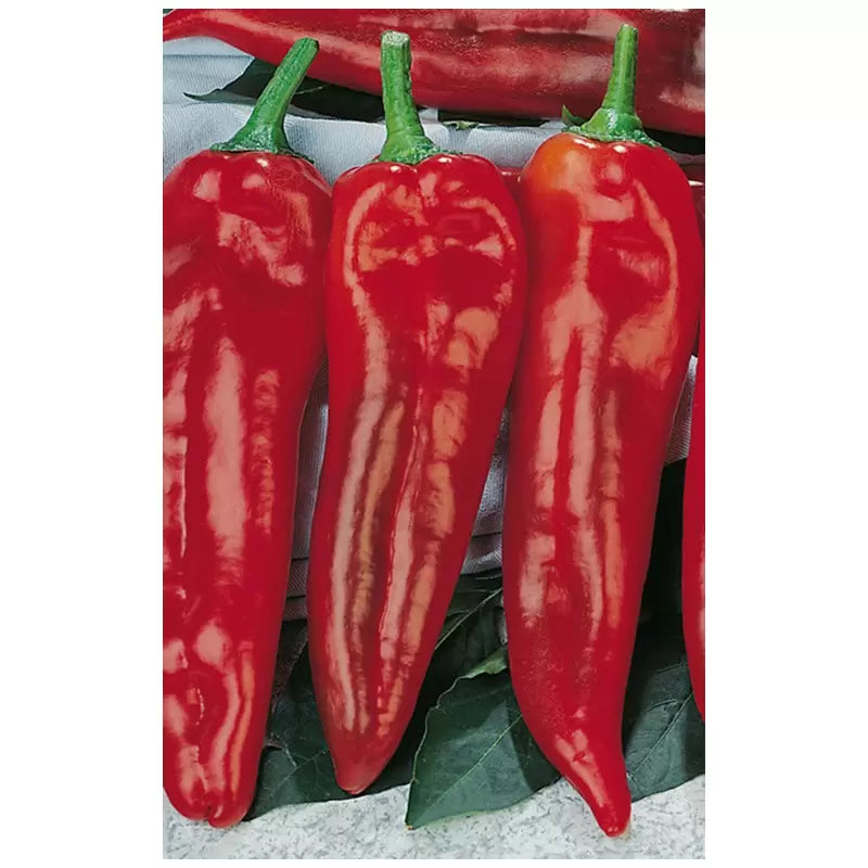 Seminte de Ardei Lung "Corno di Toro Rosso", 0.7g