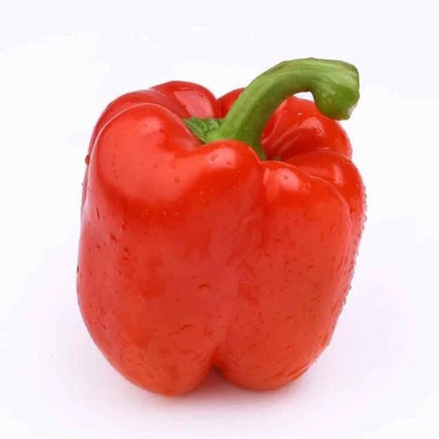Semințe de Ardei Roșu Hibrid "Blocky"