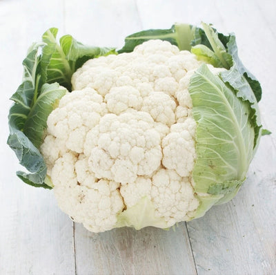 Semințe de Conopidă „Snowball”, 1g – semințe | Regatul Plantelor