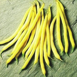 Seminte de Fasole Oloaga "Bergold", 100 gr