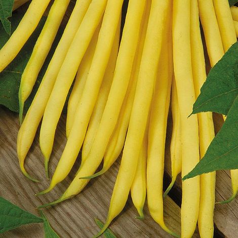 Seminte de Fasole Oloaga "Maxidor", 100 gr