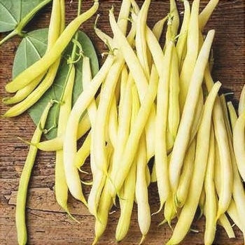 Seminte de Fasole Oloaga "Maxidor", 50 gr