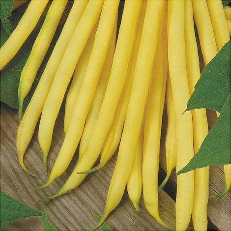 Seminte de Fasole Oloaga "Maxidor", 50 gr