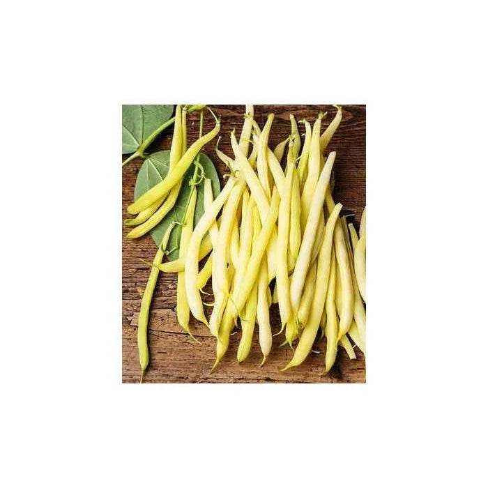 Semințe de Fasole Oloagă "Maxidor", 100 gr